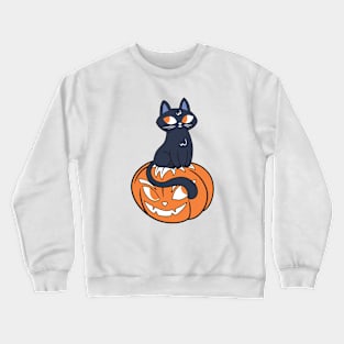 Spooky Black Cat on Pumpkin Crewneck Sweatshirt